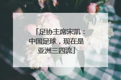 足协主席宋凯：中国足球，现在是亚洲三四流