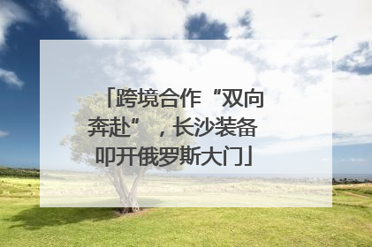 跨境合作“双向奔赴”，长沙装备叩开俄罗斯大门