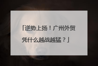 逆势上扬！广州外贸凭什么越战越猛？