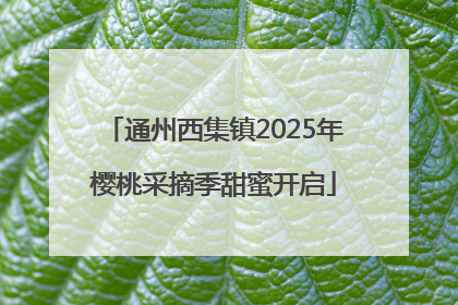 通州西集镇2025年樱桃采摘季甜蜜开启