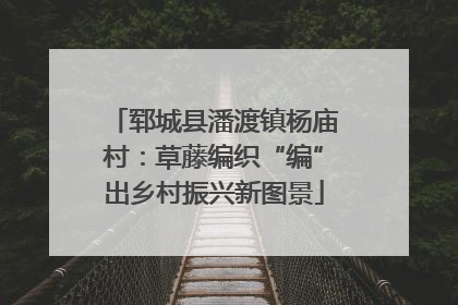 郓城县潘渡镇杨庙村：草藤编织“编”出乡村振兴新图景