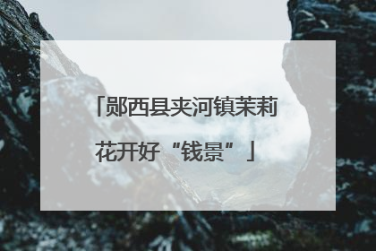 郧西县夹河镇茉莉花开好“钱景”