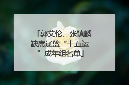 郭艾伦、张镇麟缺席辽篮“十五运”成年组名单