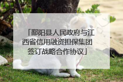 鄱阳县人民政府与江西省信用融资担保集团签订战略合作协议