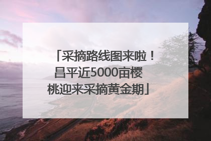 采摘路线图来啦！昌平近5000亩樱桃迎来采摘黄金期