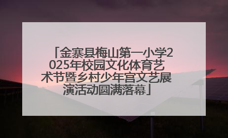 金寨县梅山第一小学2025年校园文化体育艺术节暨乡村少年宫文艺展演活动圆满落幕