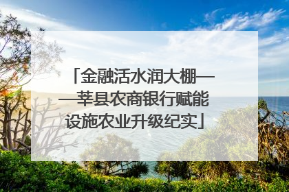 金融活水润大棚——莘县农商银行赋能设施农业升级纪实