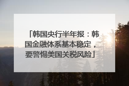 韩国央行半年报：韩国金融体系基本稳定，要警惕美国关税风险