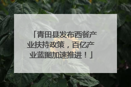 青田县发布西餐产业扶持政策，百亿产业蓝图加速推进！