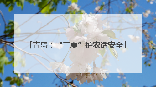 青岛：“三夏”护农话安全