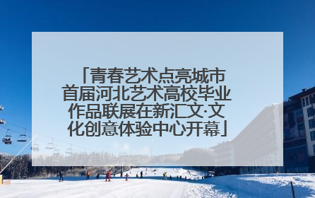 青春艺术点亮城市 首届河北艺术高校毕业作品联展在新汇文·文化创意体验中心开幕
