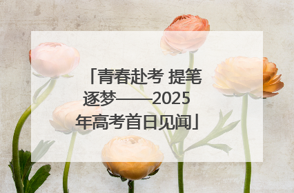 青春赴考 提笔逐梦——2025年高考首日见闻