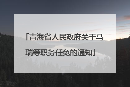 青海省人民政府关于马瑞等职务任免的通知