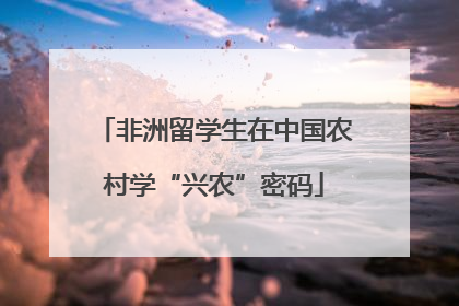 非洲留学生在中国农村学“兴农”密码