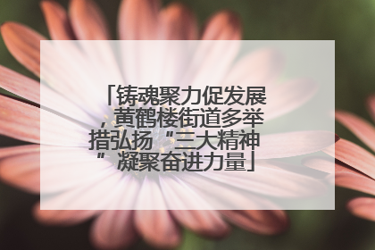 铸魂聚力促发展，黄鹤楼街道多举措弘扬“三大精神”凝聚奋进力量