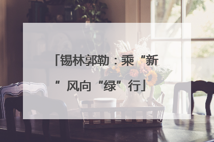 锡林郭勒：乘“新”风向“绿”行