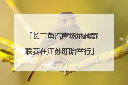 长三角汽摩场地越野联赛在江苏盱眙举行