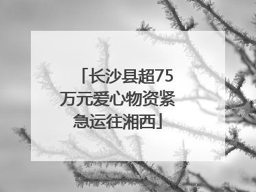 长沙县超75万元爱心物资紧急运往湘西