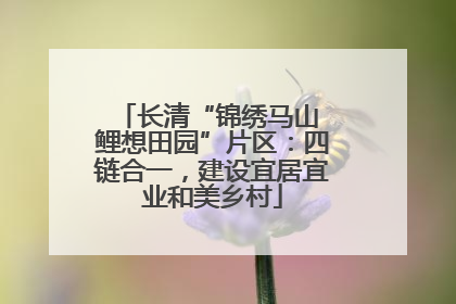 长清“锦绣马山 鲤想田园”片区：四链合一，建设宜居宜业和美乡村