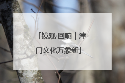 镜观·回响｜津门文化万象新