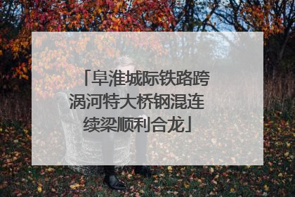 阜淮城际铁路跨涡河特大桥钢混连续梁顺利合龙