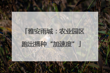 雅安雨城：农业园区跑出播种“加速度”