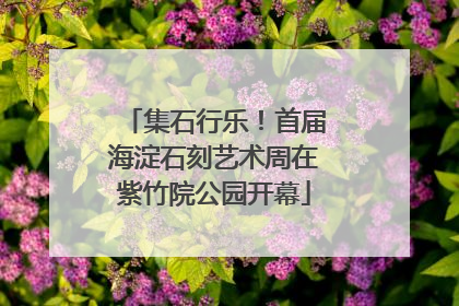 集石行乐！首届海淀石刻艺术周在紫竹院公园开幕