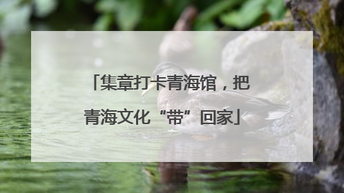 集章打卡青海馆，把青海文化“带”回家