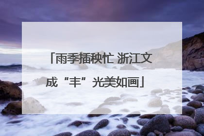 雨季插秧忙 浙江文成“丰”光美如画