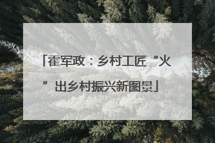 霍军政：乡村工匠“火”出乡村振兴新图景