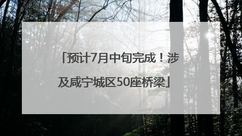 预计7月中旬完成！涉及咸宁城区50座桥梁
