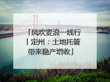 风吹麦浪一线行丨定州：土地托管带来稳产增收