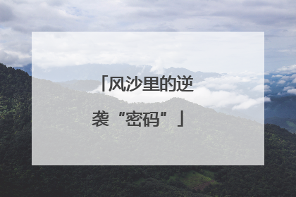 风沙里的逆袭“密码”