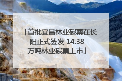 首批宜昌林业碳票在长阳正式签发 14.38万吨林业碳票上市
