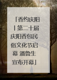 香约庆阳丨第二十届庆阳香包民俗文化节启幕 潘鲁生宣布开幕