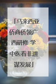 马来西亚侨商侨领广西研修 学中医看非遗谋发展