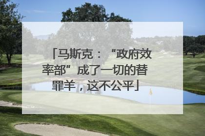 马斯克：“政府效率部”成了一切的替罪羊，这不公平