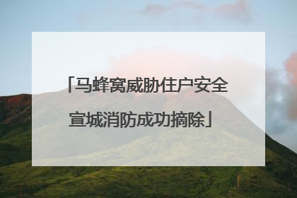马蜂窝威胁住户安全 宣城消防成功摘除