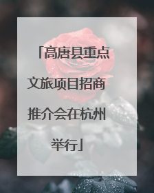 高唐县重点文旅项目招商推介会在杭州举行