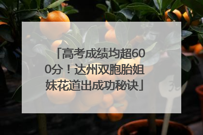 高考成绩均超600分！达州双胞胎姐妹花道出成功秘诀