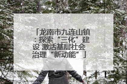 龙南市九连山镇：探索“三化”建设 激活基层社会治理“新动能”