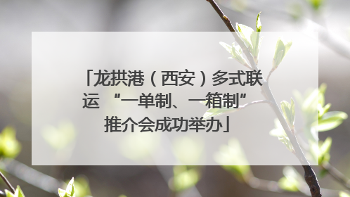 龙拱港（西安）多式联运 “一单制、一箱制” 推介会成功举办