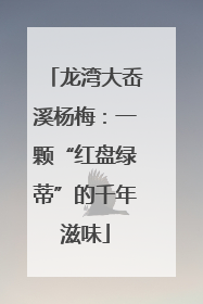龙湾大岙溪杨梅：一颗“红盘绿蒂”的千年滋味