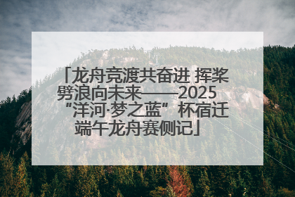 龙舟竞渡共奋进 挥桨劈浪向未来——2025“洋河·梦之蓝”杯宿迁端午龙舟赛侧记