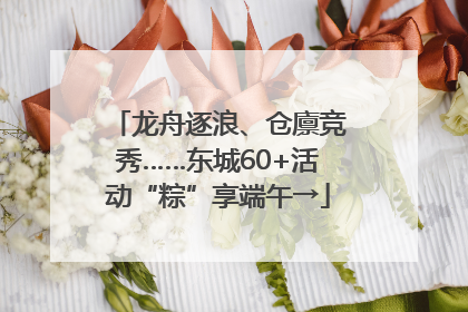 龙舟逐浪、仓廪竞秀……东城60+活动“粽”享端午→