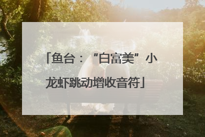 鱼台：“白富美”小龙虾跳动增收音符