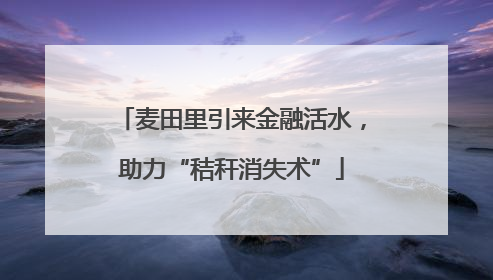 麦田里引来金融活水，助力“秸秆消失术”