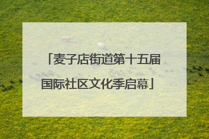 麦子店街道第十五届国际社区文化季启幕