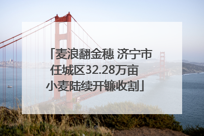 麦浪翻金穗 济宁市任城区32.28万亩小麦陆续开镰收割