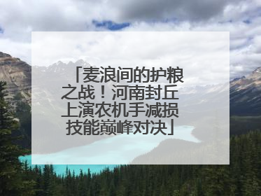 麦浪间的护粮之战！河南封丘上演农机手减损技能巅峰对决